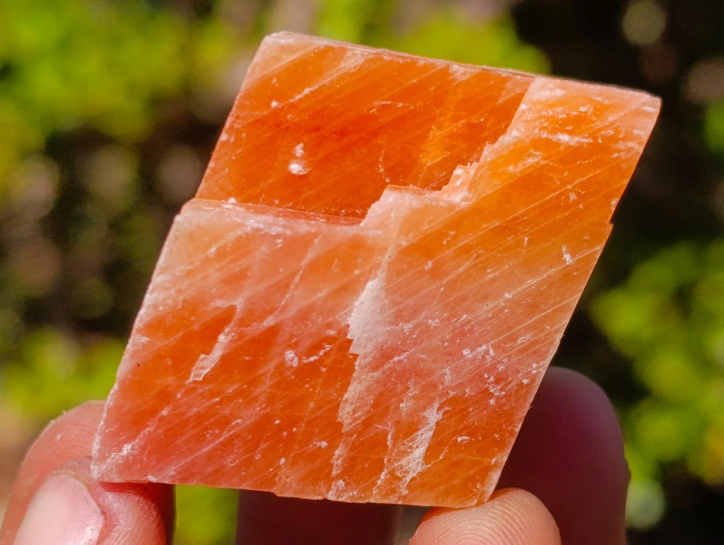 Natural Rhombohedral Sunset Orange Calcite Specimens x 24 From Spitzkop, Namibia - Toprock Gemstones and Minerals 