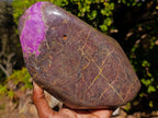 Polished Large Stichtite Standing Display Piece x 1 From Barberton, South Africa - Toprock Gemstones and Minerals 