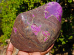 Polished Large Stichtite Standing Display Piece x 1 From Barberton, South Africa - Toprock Gemstones and Minerals 