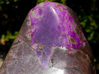 Polished Large Stichtite Standing Display Piece x 1 From Barberton, South Africa - Toprock Gemstones and Minerals 