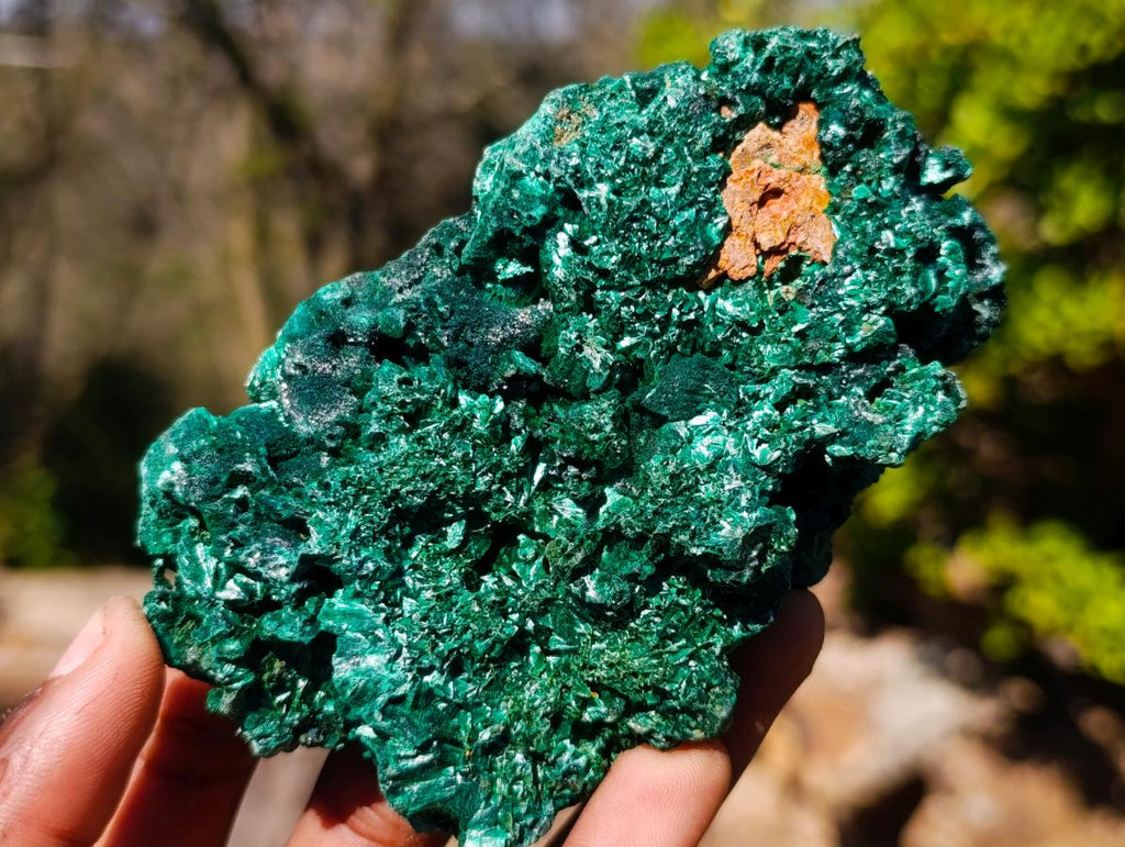 Natural Silky Malachite Specimens x 3 From Kasompe, Congo - Toprock Gemstones and Minerals 