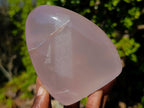 Polished Gemmy Rose Quartz Standing Display Pieces x 2 From Madagascar - Toprock Gemstones and Minerals 