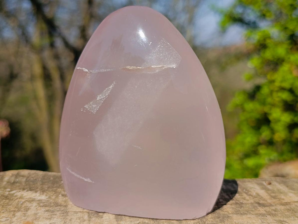 Polished Gemmy Rose Quartz Standing Display Pieces x 2 From Madagascar - Toprock Gemstones and Minerals 