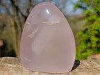 Polished Gemmy Rose Quartz Standing Display Pieces x 2 From Madagascar - Toprock Gemstones and Minerals 