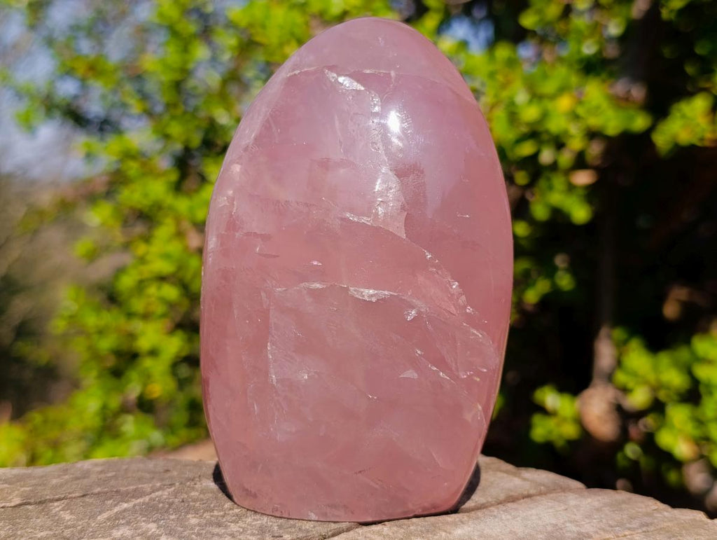 Polished Gemmy Rose Quartz Standing Display Pieces x 2 From Madagascar - Toprock Gemstones and Minerals 