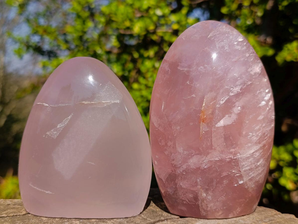 Polished Gemmy Rose Quartz Standing Display Pieces x 2 From Madagascar - Toprock Gemstones and Minerals 