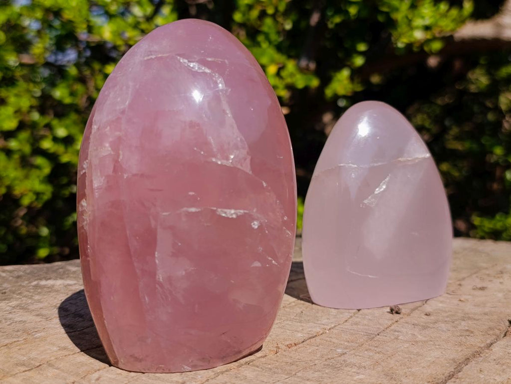 Polished Gemmy Rose Quartz Standing Display Pieces x 2 From Madagascar - Toprock Gemstones and Minerals 