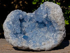 Natural Large Blue Celestite Geode Specimen x 1 From Sakoany, Madagascar - Toprock Gemstones and Minerals 