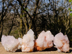 Natural Lilac Spirit Quartz Clusters x 4 From Boekenhouthoek, South Africa - Toprock Gemstones and Minerals 