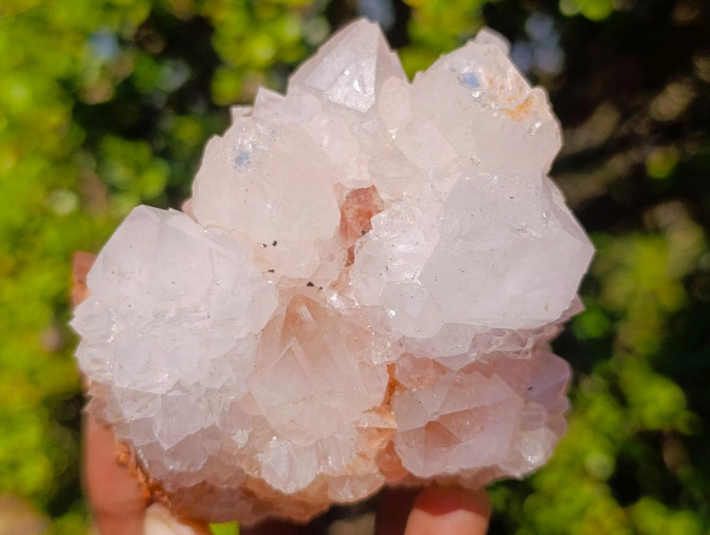 Natural Lilac Spirit Quartz Clusters x 4 From Boekenhouthoek, South Africa - Toprock Gemstones and Minerals 