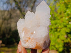Natural Lilac Spirit Quartz Clusters x 4 From Boekenhouthoek, South Africa - Toprock Gemstones and Minerals 