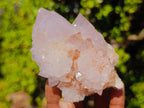 Natural Lilac Spirit Quartz Clusters x 4 From Boekenhouthoek, South Africa - Toprock Gemstones and Minerals 