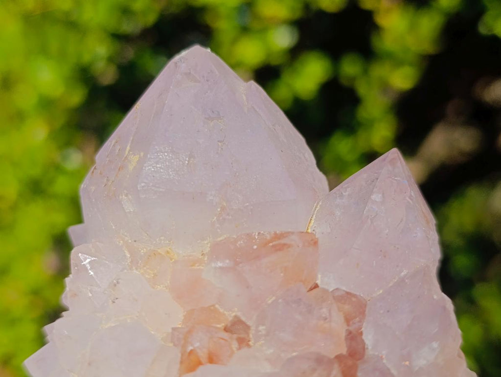 Natural Lilac Spirit Quartz Clusters x 4 From Boekenhouthoek, South Africa - Toprock Gemstones and Minerals 