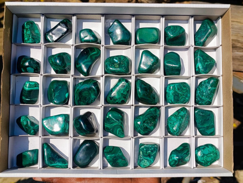 Polished Flower Banded Malachite Free Forms x 35 From Congo - Toprock Gemstones and Minerals 