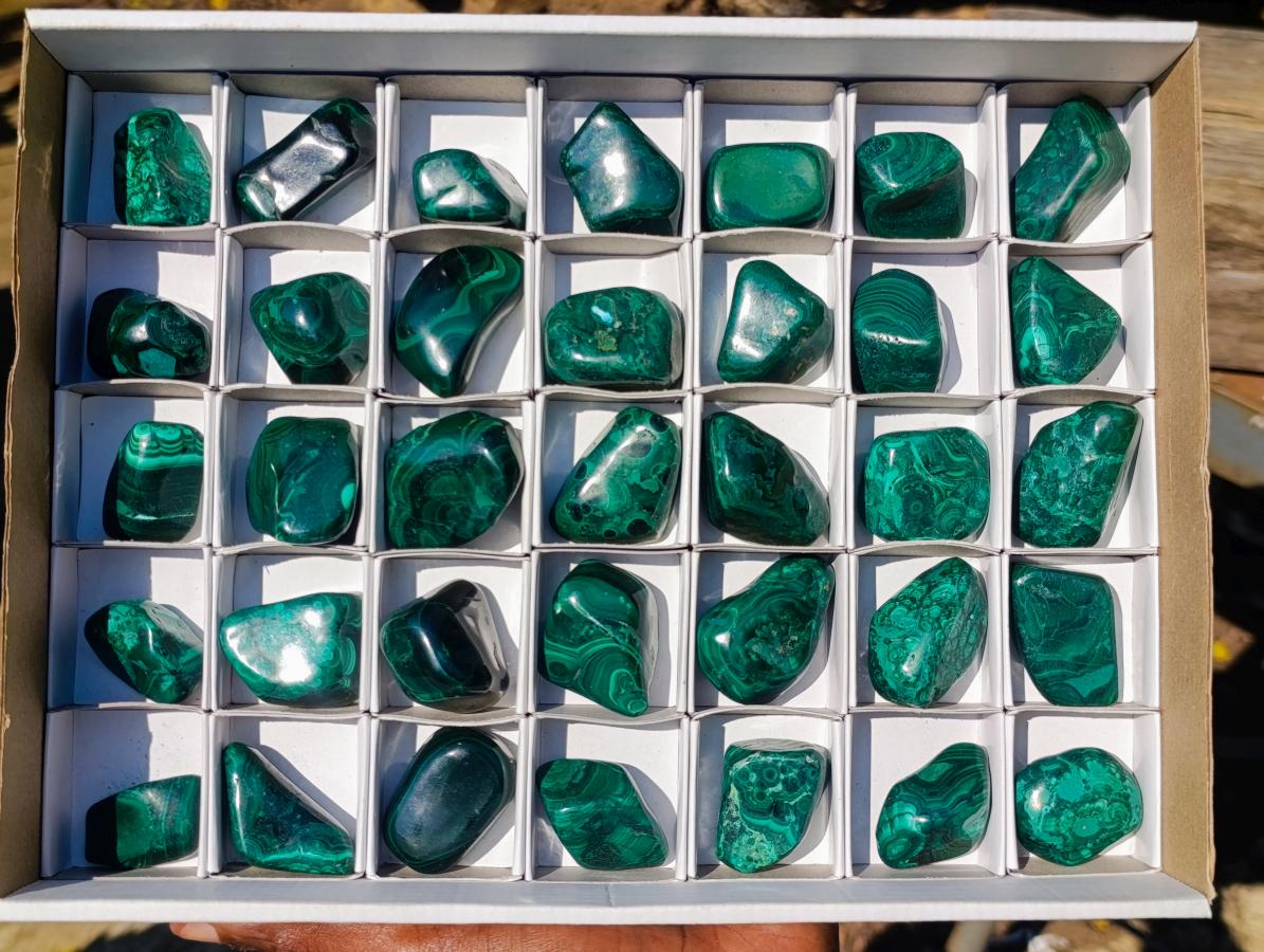 Polished Flower Banded Malachite Free Forms x 35 From Congo - Toprock Gemstones and Minerals 