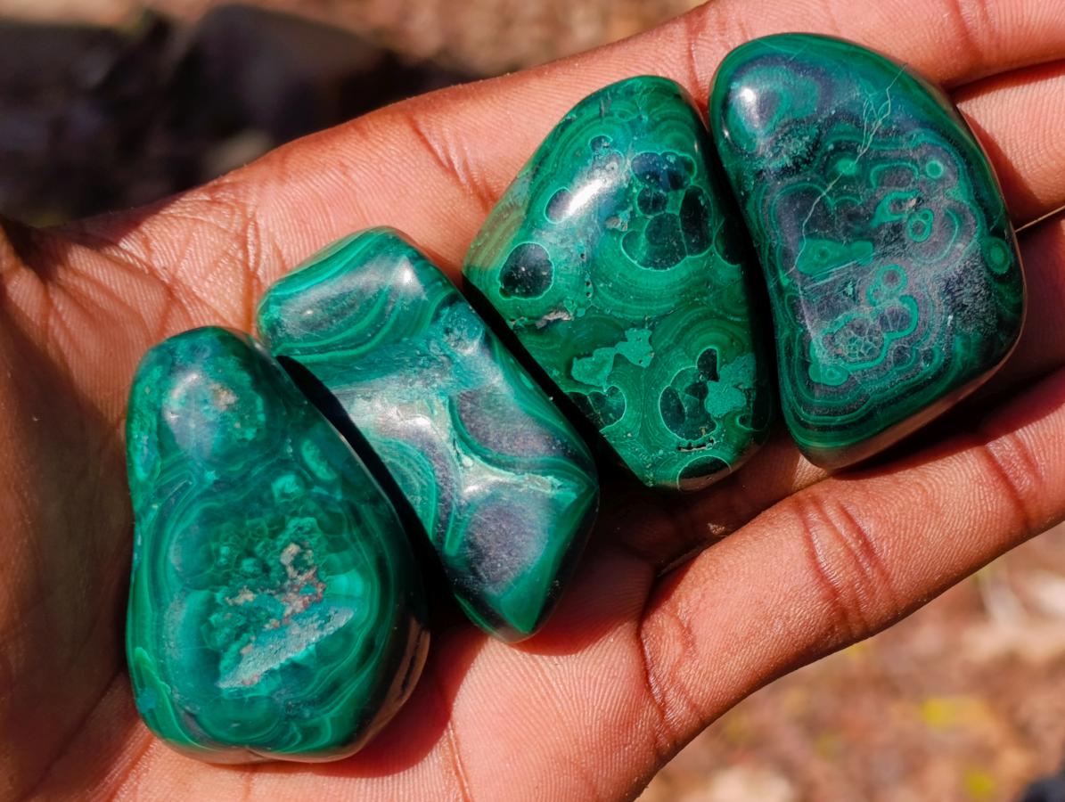 Polished Flower Banded Malachite Free Forms x 35 From Congo - Toprock Gemstones and Minerals 