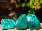 Polished Flower Banded Malachite Free Forms x 35 From Congo - Toprock Gemstones and Minerals 