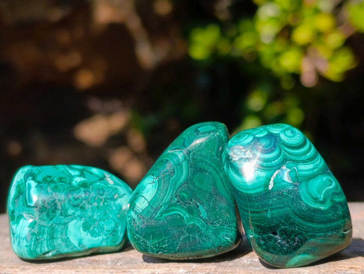 Polished Flower Banded Malachite Free Forms x 35 From Congo - Toprock Gemstones and Minerals 