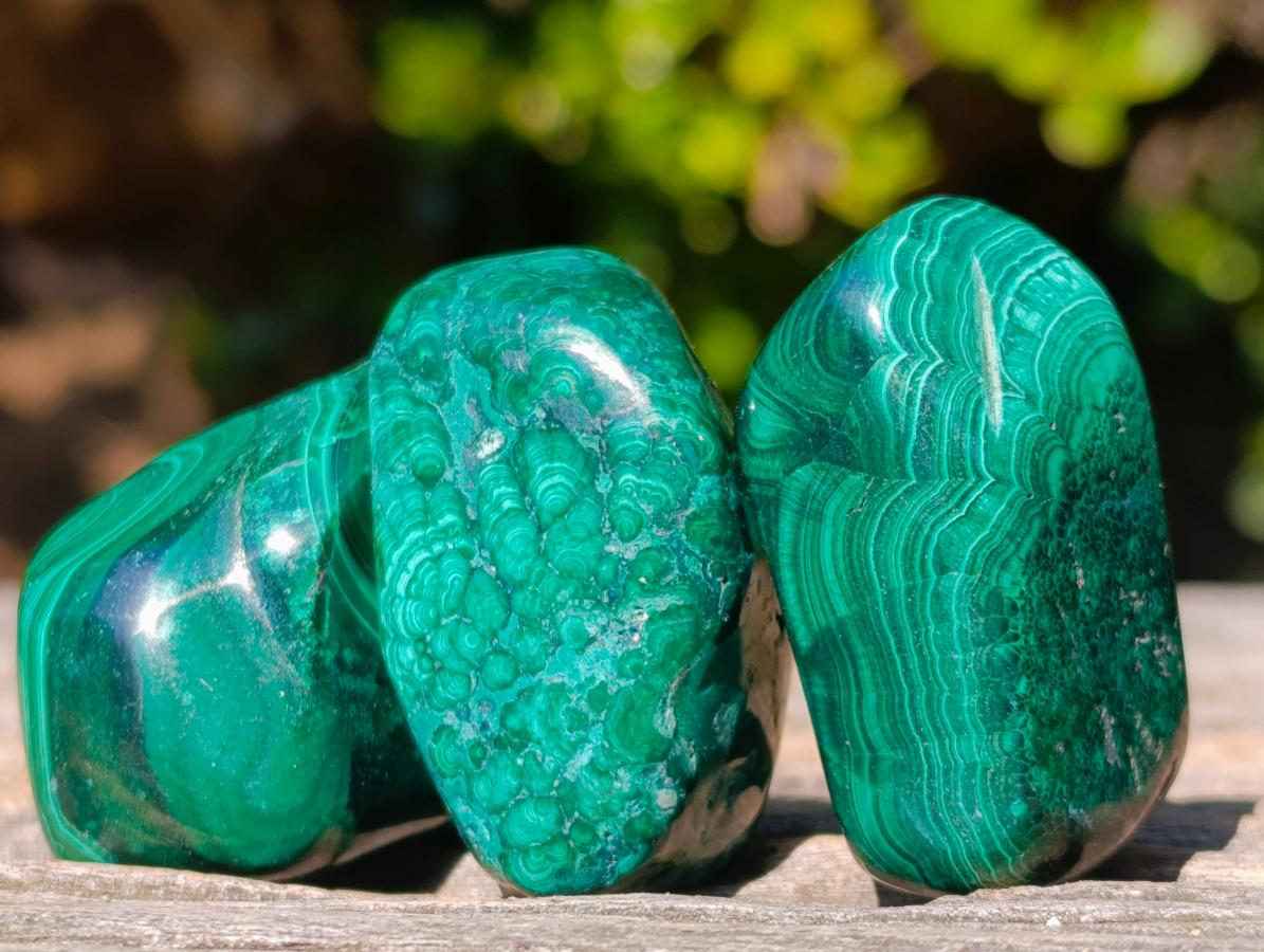 Polished Flower Banded Malachite Free Forms x 35 From Congo - Toprock Gemstones and Minerals 