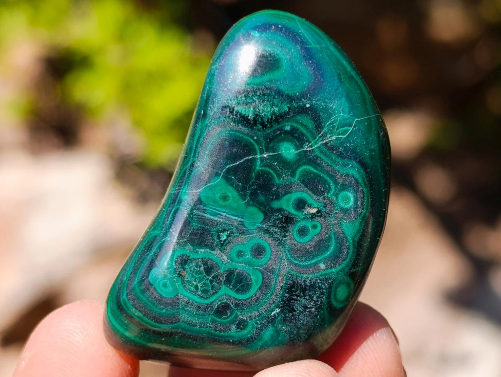 Polished Flower Banded Malachite Free Forms x 35 From Congo - Toprock Gemstones and Minerals 
