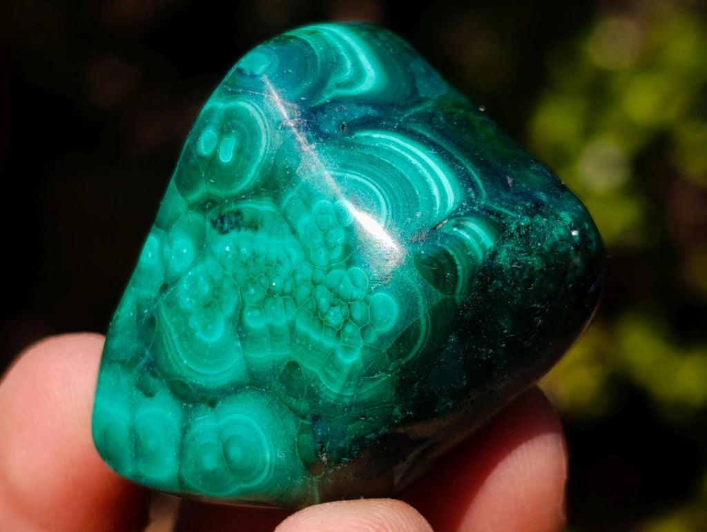 Polished Flower Banded Malachite Free Forms x 35 From Congo - Toprock Gemstones and Minerals 