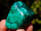 Polished Flower Banded Malachite Free Forms x 35 From Congo - Toprock Gemstones and Minerals 