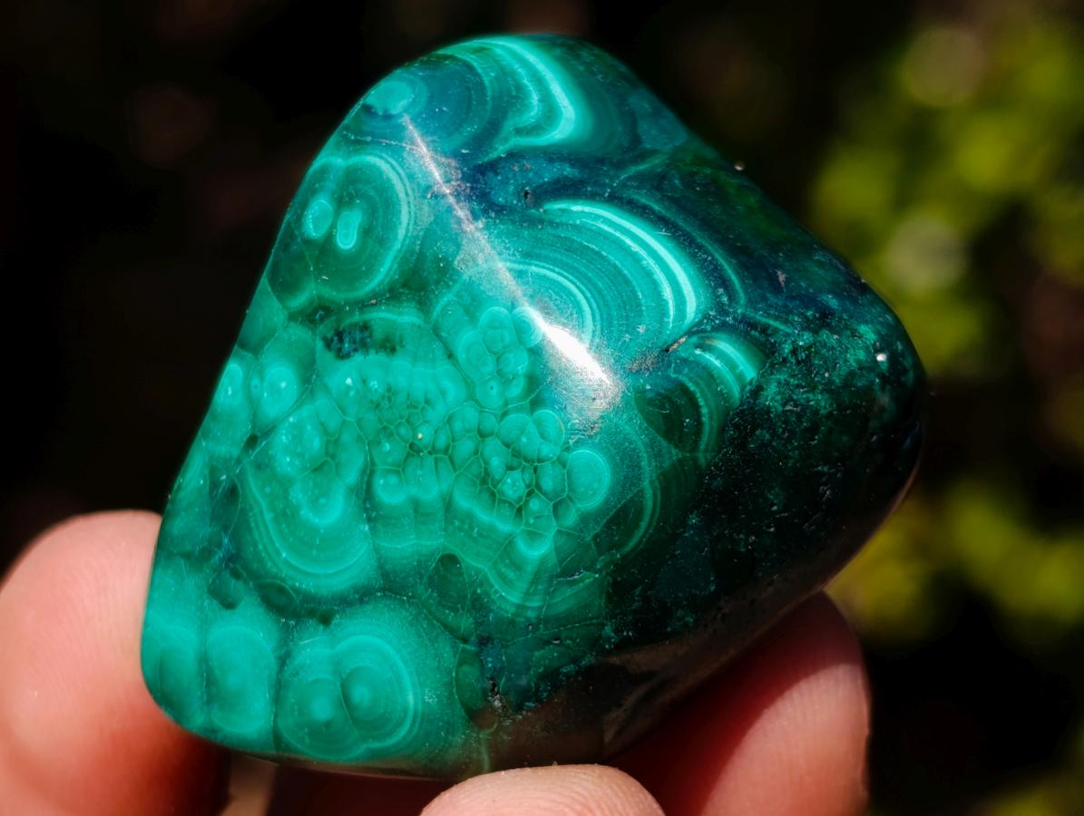 Polished Flower Banded Malachite Free Forms x 35 From Congo - Toprock Gemstones and Minerals 