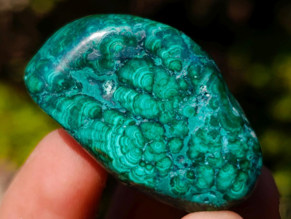 Polished Flower Banded Malachite Free Forms x 35 From Congo - Toprock Gemstones and Minerals 