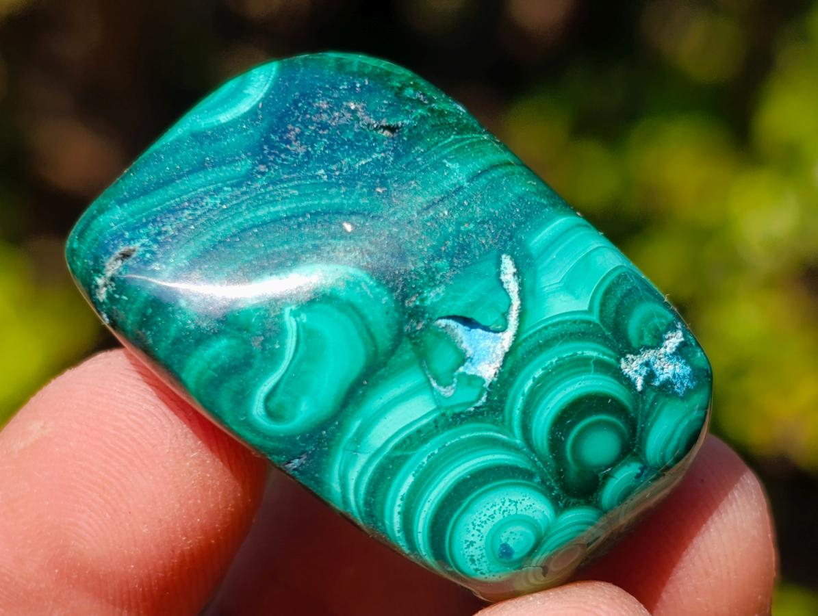 Polished Flower Banded Malachite Free Forms x 35 From Congo - Toprock Gemstones and Minerals 