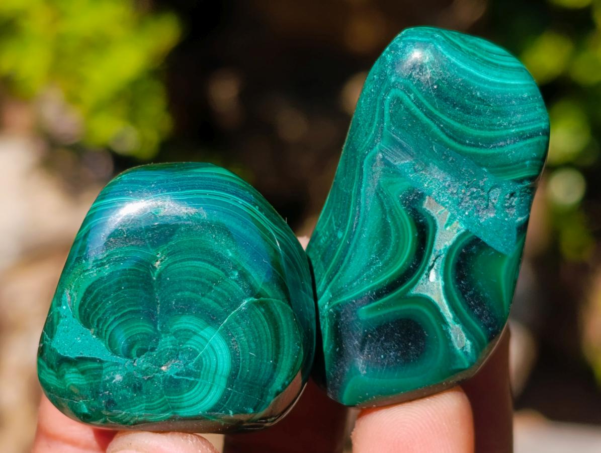 Polished Flower Banded Malachite Free Forms x 35 From Congo - Toprock Gemstones and Minerals 
