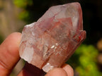 Natural Red Hematoid Quartz Crystals x 24 From Karoi, Zimbabwe - Toprock Gemstones and Minerals 