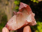Natural Red Hematoid Quartz Crystals x 24 From Karoi, Zimbabwe - Toprock Gemstones and Minerals 
