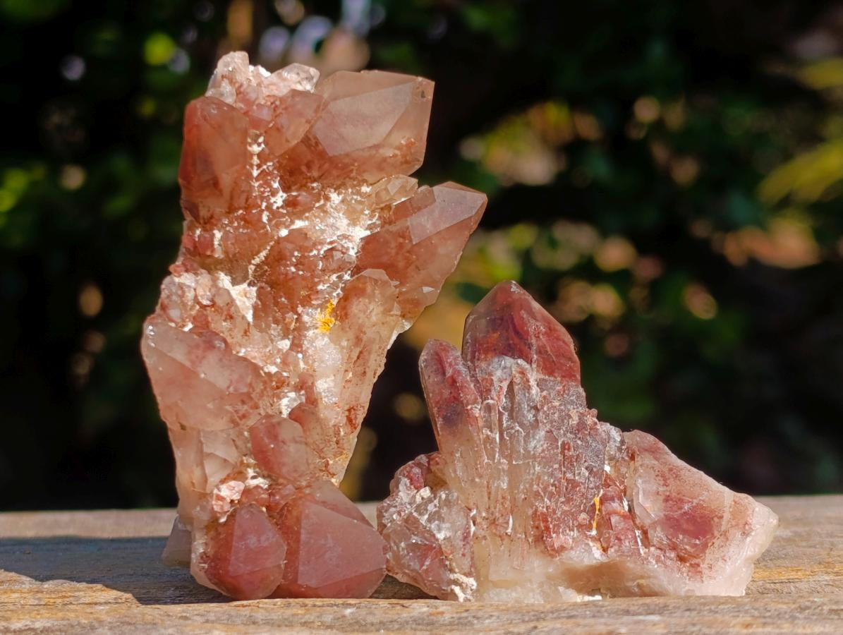 Natural Red Hematoid Quartz Crystals x 24 From Karoi, Zimbabwe - Toprock Gemstones and Minerals 