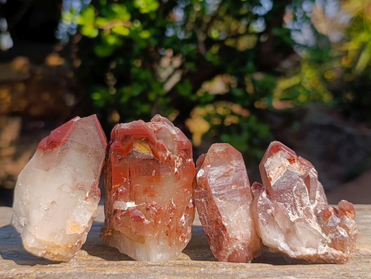 Natural Red Hematoid Quartz Crystals x 24 From Karoi, Zimbabwe - Toprock Gemstones and Minerals 