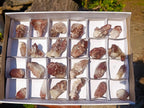 Natural Red Hematoid Quartz Crystals x 24 From Karoi, Zimbabwe - Toprock Gemstones and Minerals 