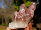 Natural Red Hematoid Quartz Crystals x 24 From Karoi, Zimbabwe - Toprock Gemstones and Minerals 