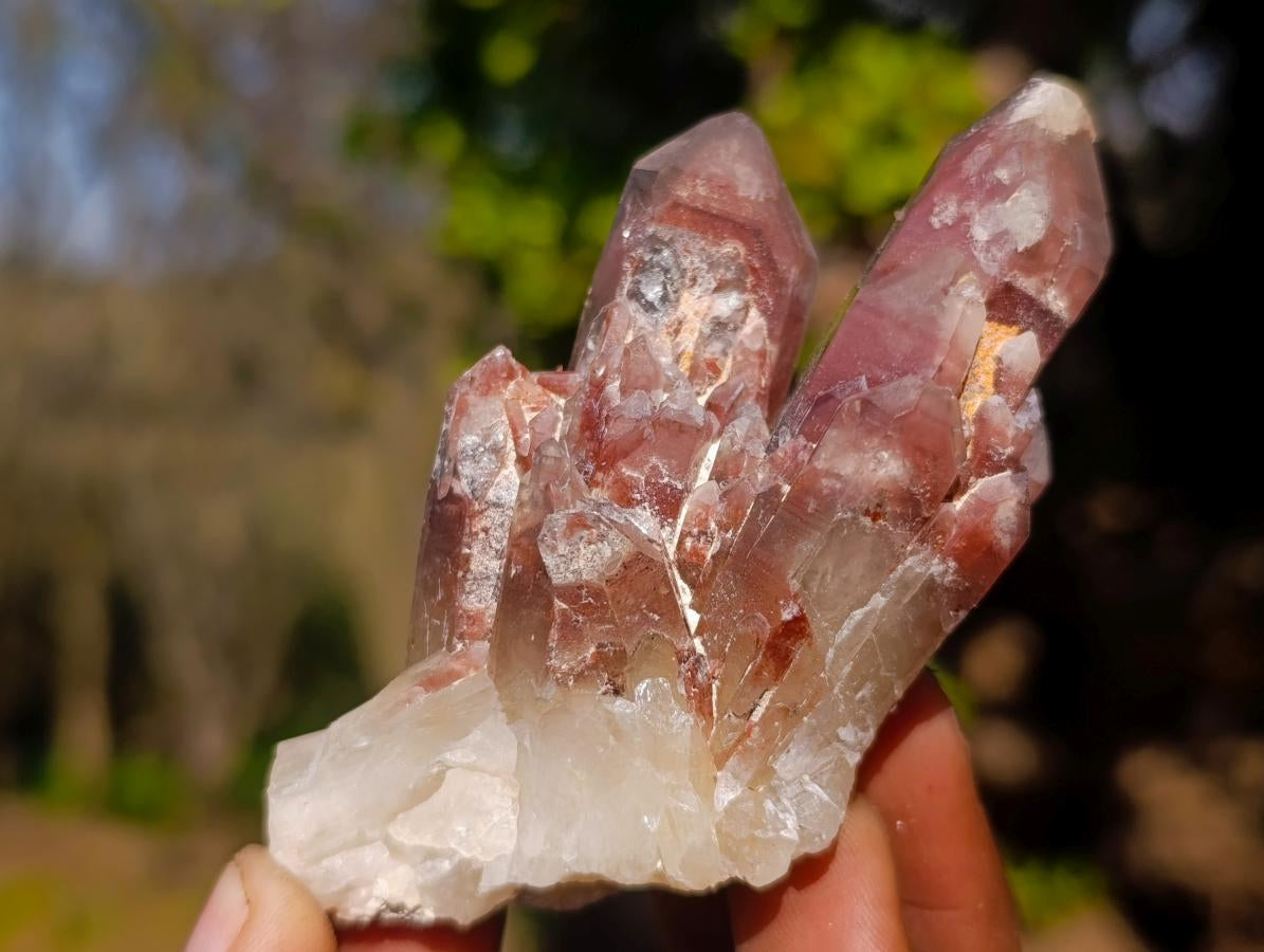 Natural Red Hematoid Quartz Crystals x 24 From Karoi, Zimbabwe - Toprock Gemstones and Minerals 