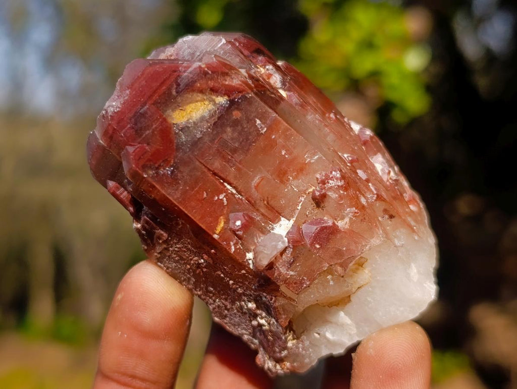 Natural Red Hematoid Quartz Crystals x 24 From Karoi, Zimbabwe - Toprock Gemstones and Minerals 