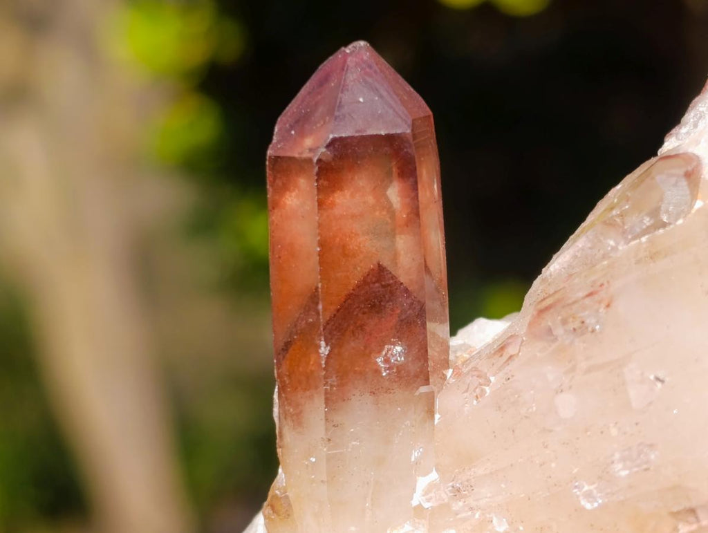 Natural Red Hematoid Quartz Crystals x 24 From Karoi, Zimbabwe - Toprock Gemstones and Minerals 
