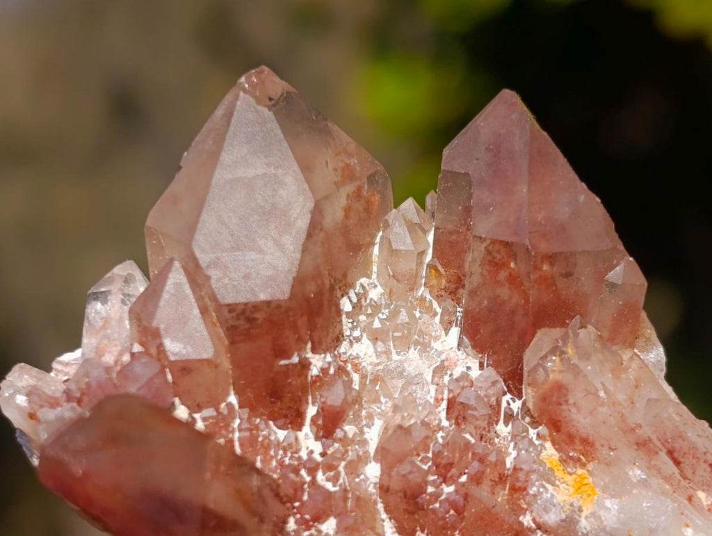 Natural Red Hematoid Quartz Crystals x 24 From Karoi, Zimbabwe - Toprock Gemstones and Minerals 