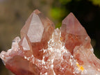 Natural Red Hematoid Quartz Crystals x 24 From Karoi, Zimbabwe - Toprock Gemstones and Minerals 
