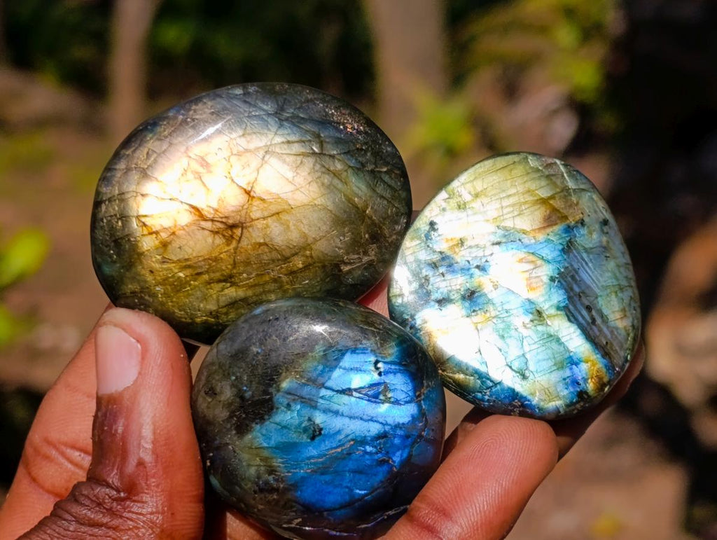 Polished Labradorite Palm Stones x 25 From Madagascar - Toprock Gemstones and Minerals 