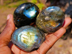 Polished Labradorite Palm Stones x 25 From Madagascar - Toprock Gemstones and Minerals 