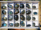 Polished Labradorite Palm Stones x 25 From Madagascar - Toprock Gemstones and Minerals 