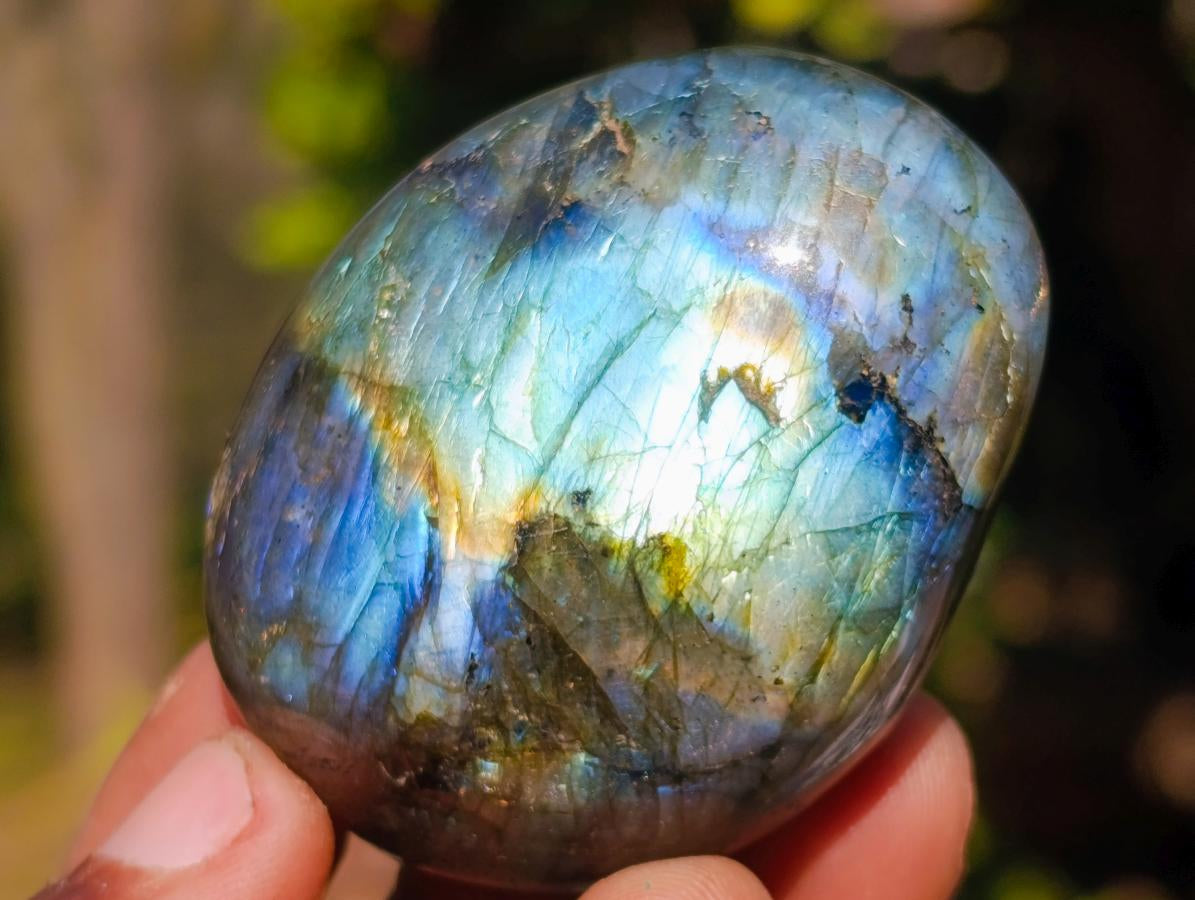Polished Labradorite Palm Stones x 25 From Madagascar - Toprock Gemstones and Minerals 