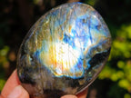 Polished Labradorite Palm Stones x 25 From Madagascar - Toprock Gemstones and Minerals 