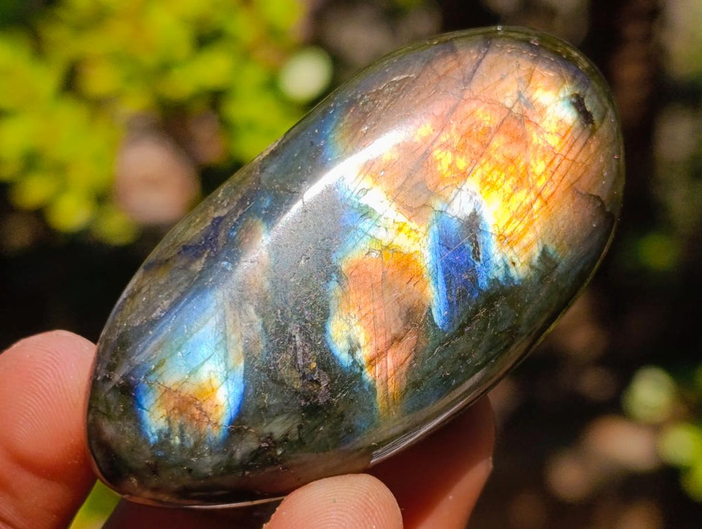 Polished Labradorite Palm Stones x 25 From Madagascar - Toprock Gemstones and Minerals 