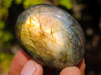 Polished Labradorite Palm Stones x 25 From Madagascar - Toprock Gemstones and Minerals 