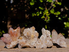 Natural Drusy Fairy Spirit Quartz Crystals and Clusters x 35 From Boekenhouthoek, South Africa - Toprock Gemstones and Minerals 