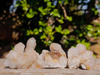 Natural Drusy Fairy Spirit Quartz Crystals and Clusters x 35 From Boekenhouthoek, South Africa - Toprock Gemstones and Minerals 